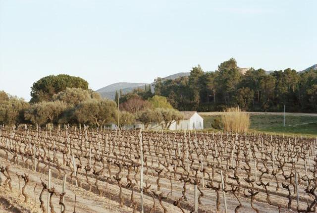 Environs de La Garde-Freinet, Provence-Alpes-C&ocirc;te d'Azur. 2016