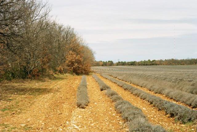 Provence-Alpes-C&ocirc;te d'Azur. 2016