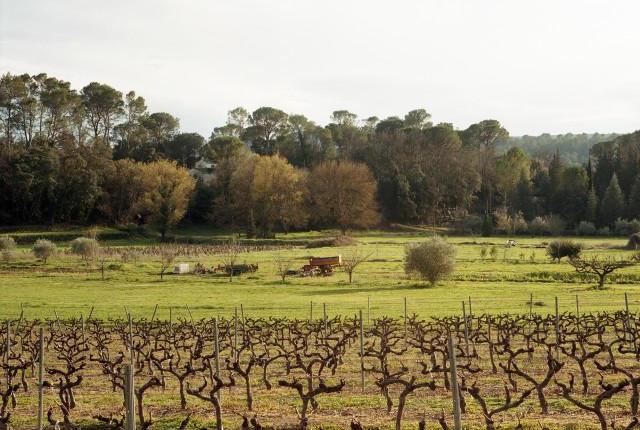 Le Cannet-des-Maures, Provence-Alpes-C&ocirc;te d'Azur. 2016