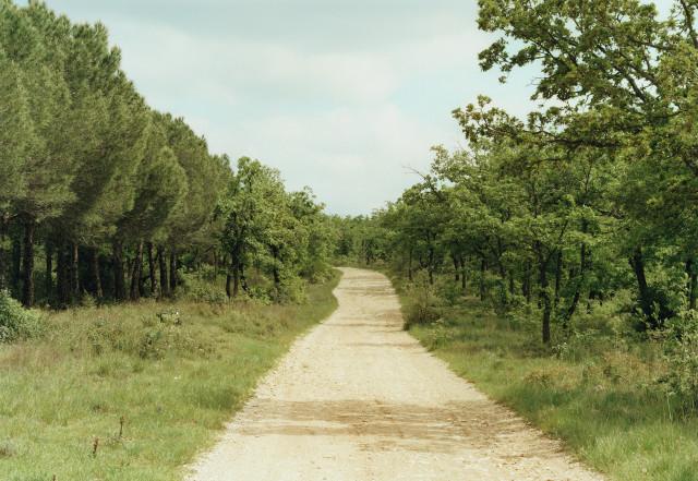 La Bouilladisse, Provence-Alpes-C&ocirc;te d'Azur. 2010.