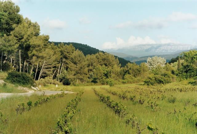 La Bouilladisse, Provence-Alpes-C&ocirc;te d'Azur. 2010.
