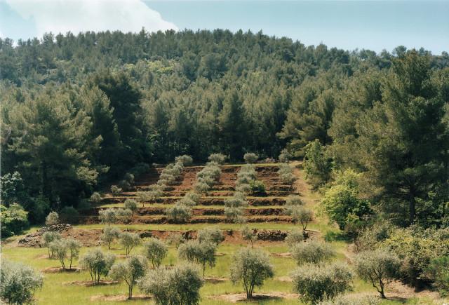 La Bouilladisse, Provence-Alpes-C&ocirc;te d'Azur. 2010.