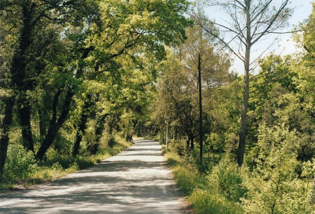 La Bouilladisse, Provence-Alpes-C&ocirc;te d'Azur. 2010.