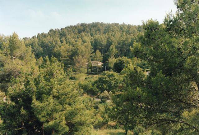 La Bouilladisse, Provence-Alpes-C&ocirc;te d'Azur. 2010.