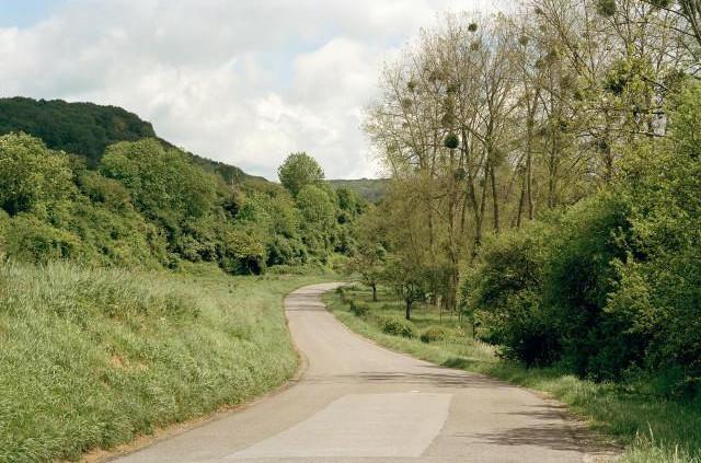 Vall&eacute;e de l'Y&egrave;res, D16 entre Sept-Meules et Cuverville, Normandie. 2006