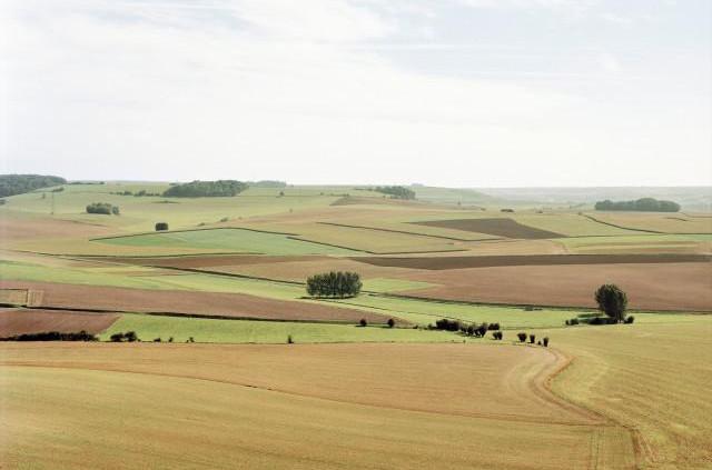 D1314 environs de Londini&egrave;res, Normandie. 2006