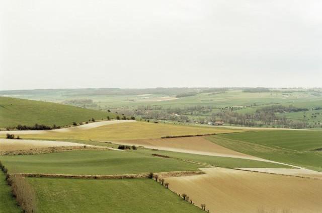 Le Mont L'andin entre Douvrend et les Ifs, Normandie. 2006