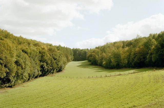 D921, for&ecirc;t domaniale de Lyons entre La Feuillie et Nolleval, Normandie. 2006