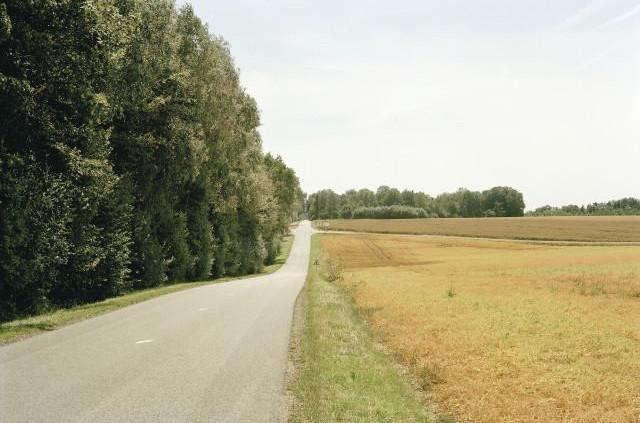 D97/D56 for&ecirc;t de Hellet, Normandie. 2006