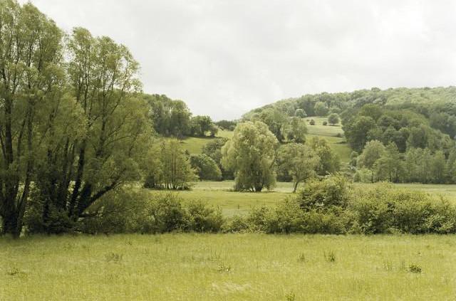 Vall&eacute;e de l'Y&egrave;res, D16 entre Sept-Meules et Cuverville, Normandie. 2006