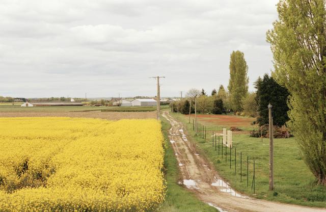 Saint-Beno&icirc;t-sur-Loire, Loiret. Centre-Val de Loire. 2001