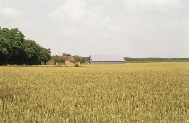 Amilly, Loiret. Centre-Val de Loire. 2002