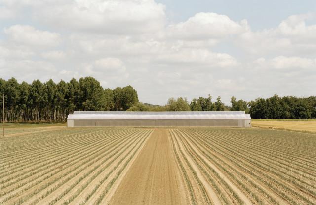 Saint-Georges-sur-Loire, Maine-et-Loire. Pays de la Loire. 2004