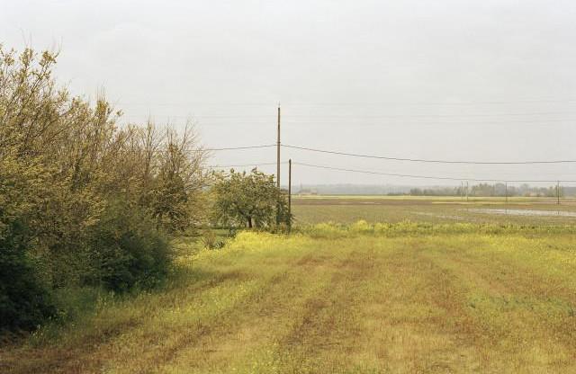 Entre Saint-Beno&icirc;t-sur-Loire et Saint-Denis-de-l&rsquo;H&ocirc;tel, Loiret. Centre-Val de Loire. 2001