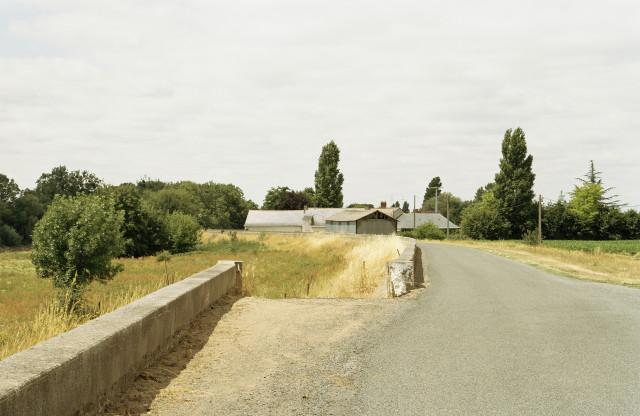 Environs de Saint-Mathurin-sur-Loire, Maine-et-Loire. Pays de la Loire. 2004