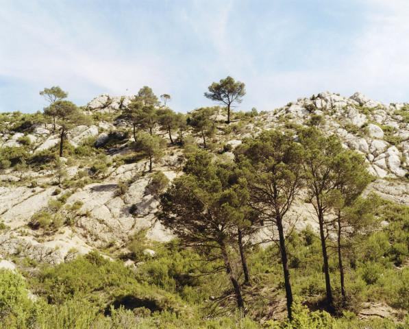 Montagne Sainte-Victoire. Bouches-du-Rh&ocirc;ne, Provence-Alpes-C&ocirc;tes d'Azur. 1995