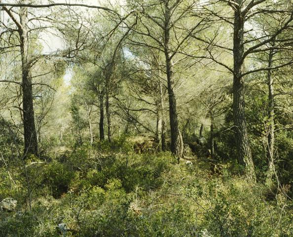 Grand site de la Sainte-Victoire. Bouches-du-Rh&ocirc;ne, Provence-Alpes-C&ocirc;tes d'Azur. 2006