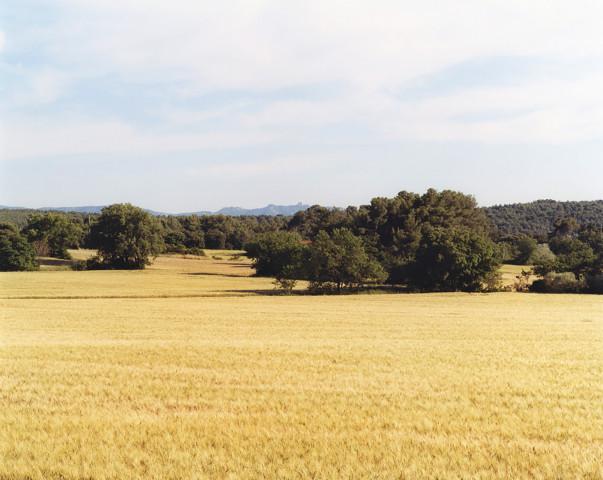 Bouches-du-Rh&ocirc;ne, Provence-Alpes-C&ocirc;tes d'Azur. 2006