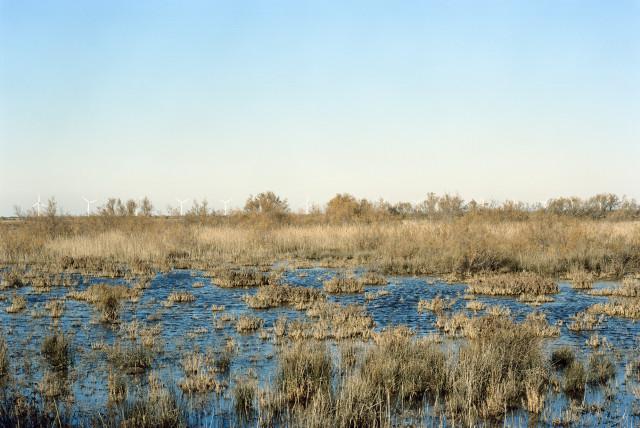 Les Enfores, Port-Saint-Louis-du-Rh&ocirc;ne. 2013
