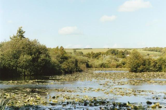 Les &eacute;tangs de Longpr&eacute;-les-Corps-Saints, Hauts-de-France. 2011