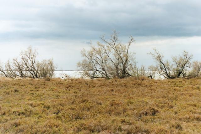 &Eacute;tang de Vaccar&egrave;s, Saintes-Maries-de-la-Mer. 2013