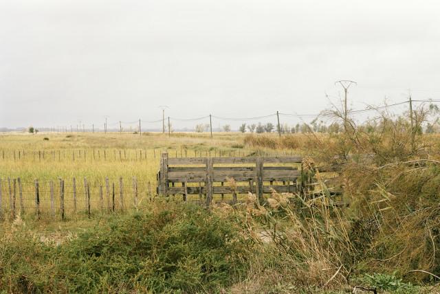 Palunette, Arles. 2013