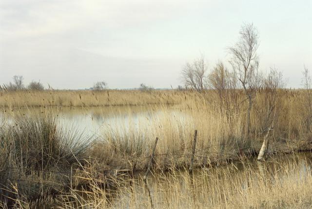 &Eacute;tang de Cons&eacute;cani&egrave;re, Saintes-Maries-de-la-Mer. 2013
