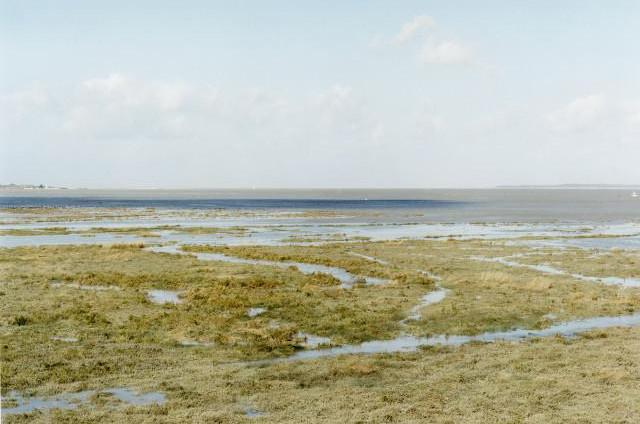 Environs de Cap Hornu, Baie de Somme, grande mar&eacute;e. Hauts-de-France. 2013