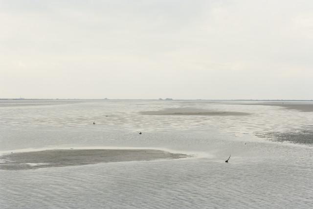 &Eacute;tang de Galabert, Saintes-Maries-de-la-Mer. 2013