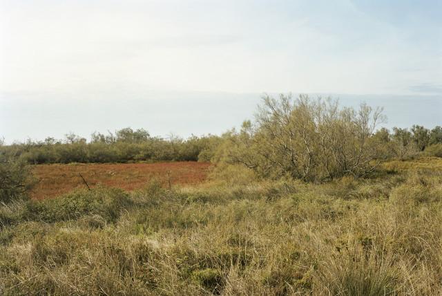 La Capeli&egrave;re, route de Fi&eacute;louse, Arles. 2013
