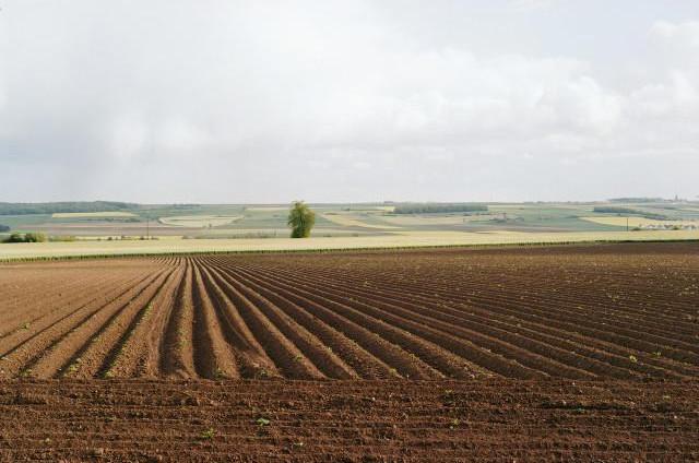Hauteurs de Vaux-sur-Somme, Belv&eacute;d&egrave;re de Frise, Hauts-de-France. 2012