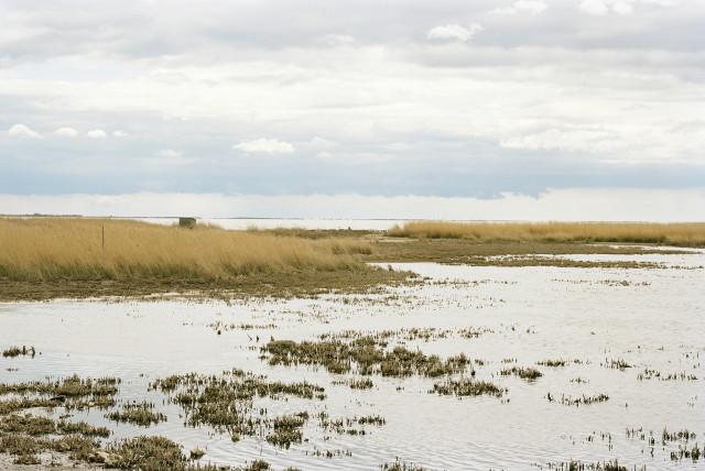 &Eacute;tang de Vaccar&egrave;s, Saintes-Maries-de-la-Mer. 2013