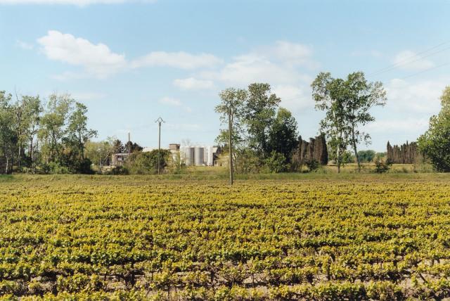 Isle de Saint Pierre, route de Port-Saint-Louis-du-Rh&ocirc;ne, Arles. 2013