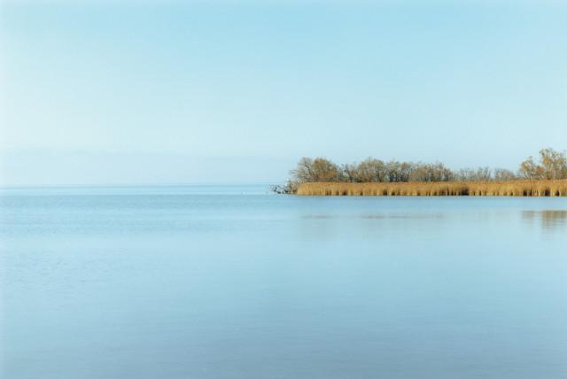&Eacute;tang de Vaccar&egrave;s, Saintes-Maries-de-la-Mer. 2013