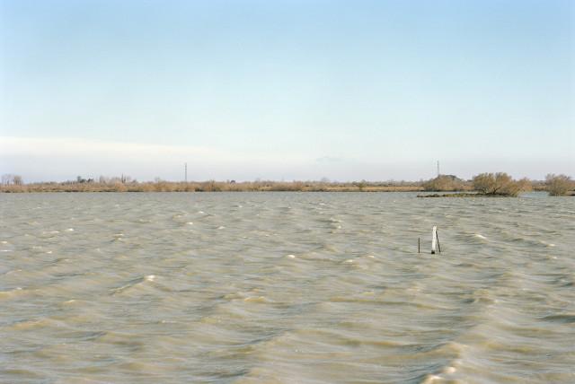 Marais de Saint-Seren, Arles. 2013