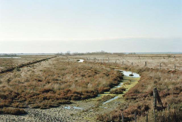 &Eacute;tang du Fournelet, Arles. 2013