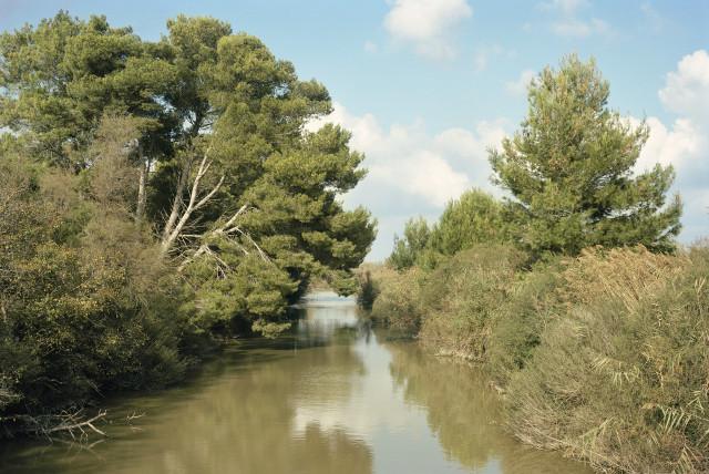 Tour du Valat, Le Sambuc, Arles. 2013