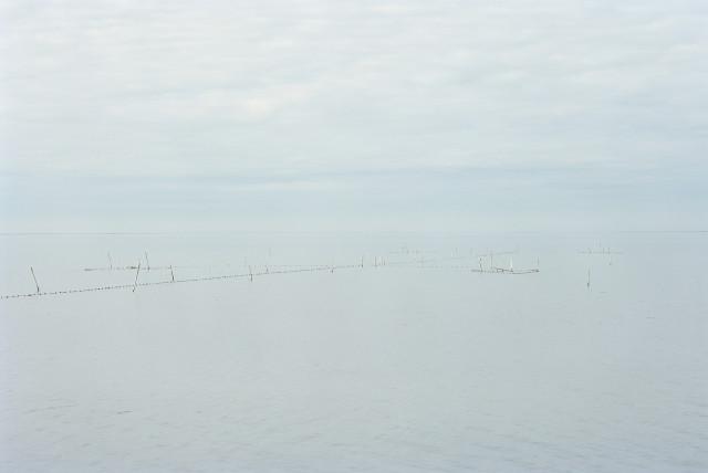 &Eacute;tang de Vaccar&egrave;s, Saintes-Maries-de-la-Mer. 2013