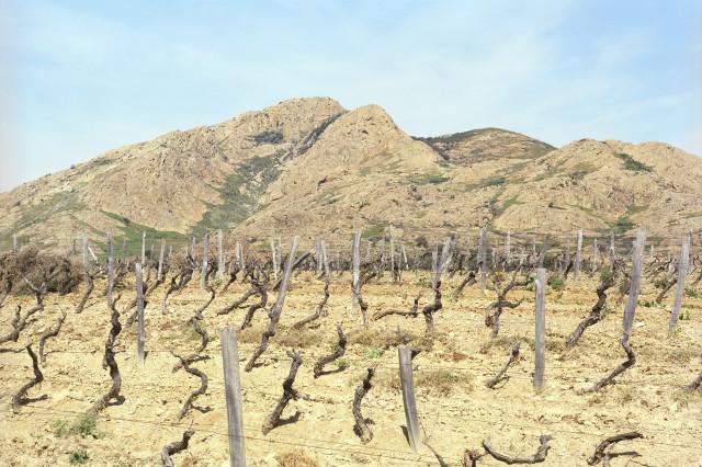 Environs de Patrimonio, Corse. 1994
