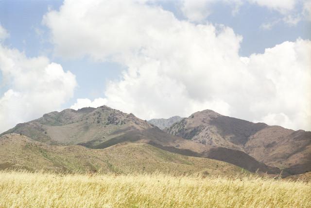 Environs de Corte, Corse. 1994