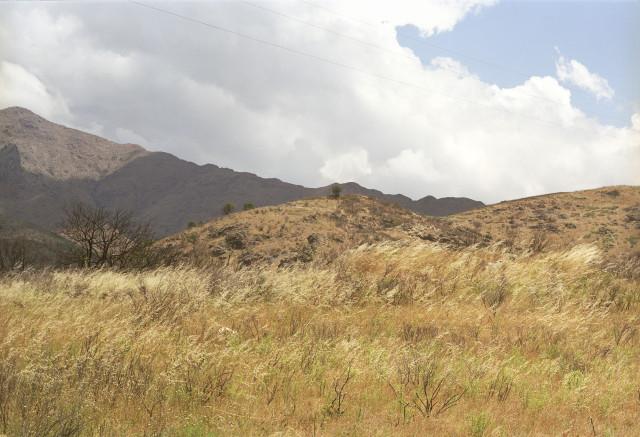 Environs de Corte, Corse. 1994