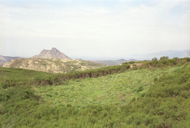 D&eacute;sert des Agriates, Corse. 1994