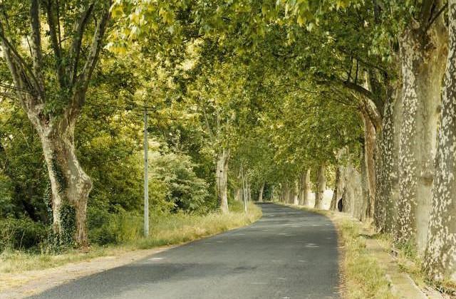 Route de Bessan Veyrac D28, Occitanie. 2006