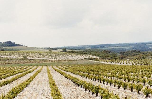 Saint-Jean de Minervois, Occitanie. 2006