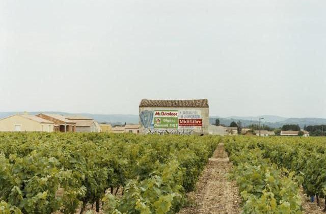 Saint-Andr&eacute; de Sangonis, Occitanie. 2006