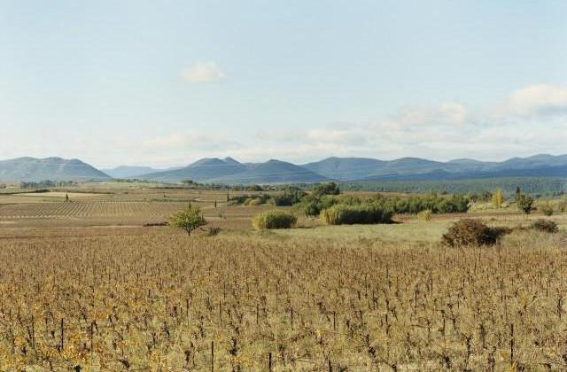 Environs de Murviel-les-B&eacute;ziers, Occitanie. 2006