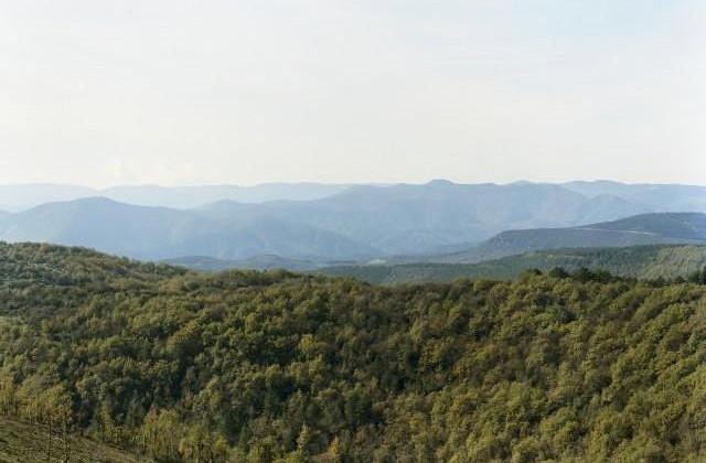 Monts d'Orb, Occitanie. 2006