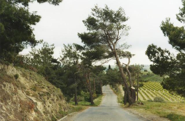 Route de l'Oppidum d'Ens&eacute;rune, Occitanie. 2006