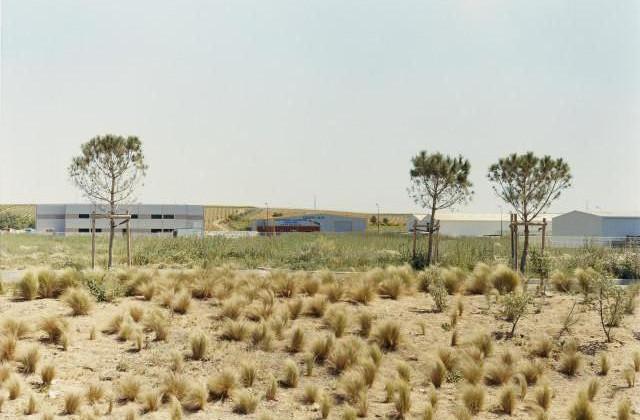 Vendres, D 64, Occitanie. 2006